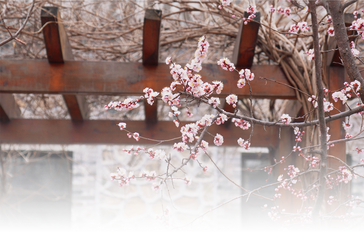 1c2efdbd-d1b2-4e39-beb3-d4f8acc70a3d.png