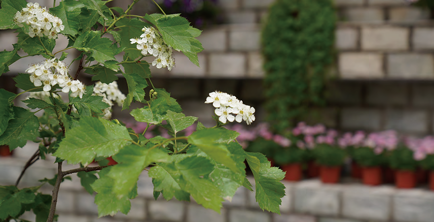 未标题-16_画板 1.png