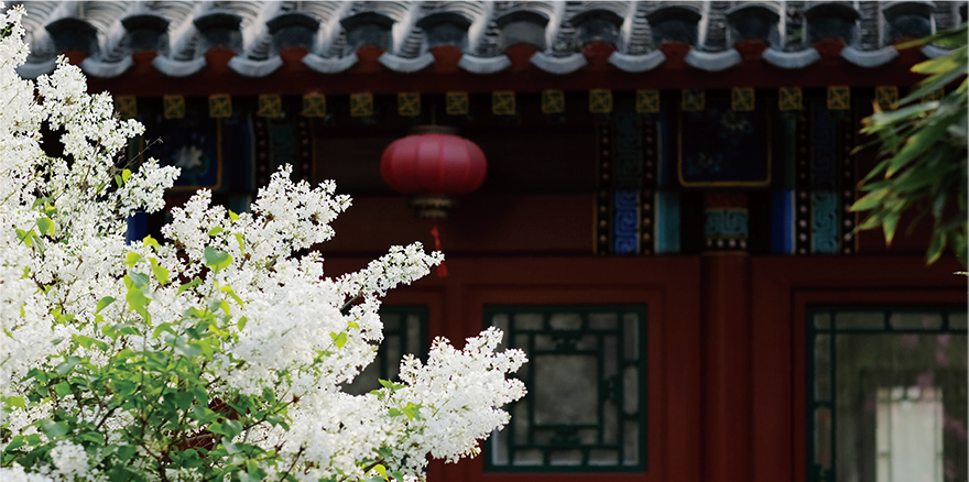 未标题-3_画板 1.png