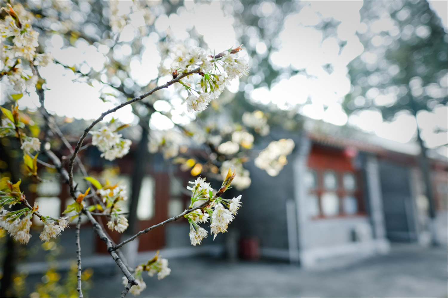 后期 (102 - 110).jpg