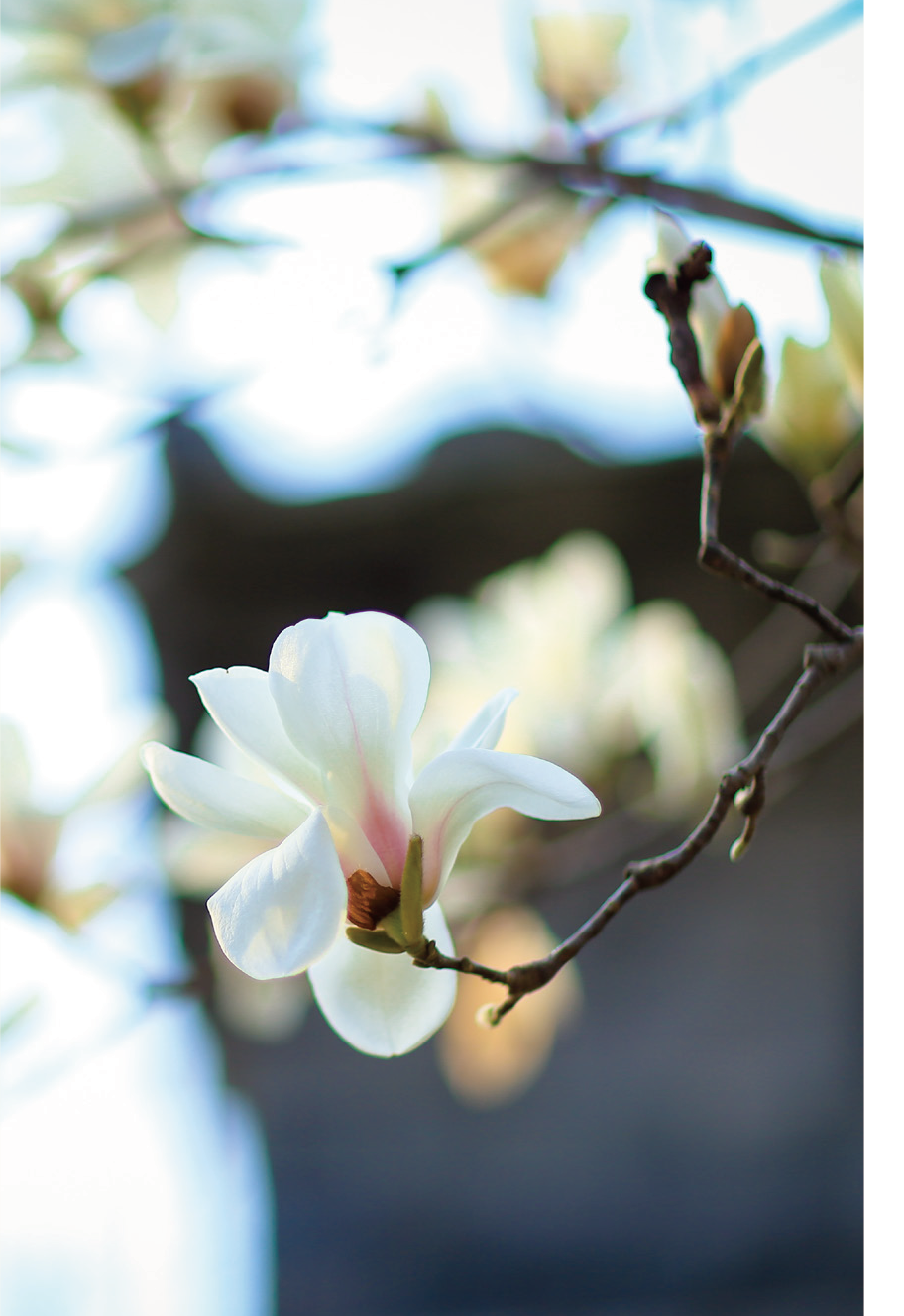 752e7e02-5920-4c61-ae6b-72ad86a1064d.png