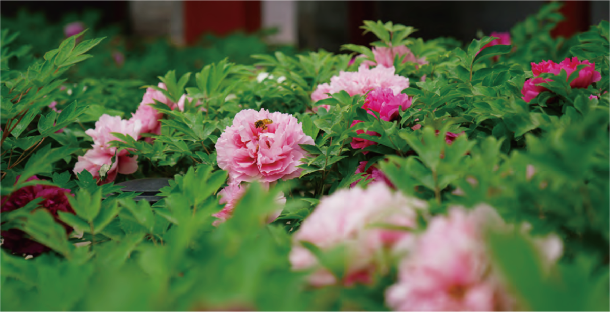 759c7b82-fd87-4d07-8812-f7b9f21daa5f.png