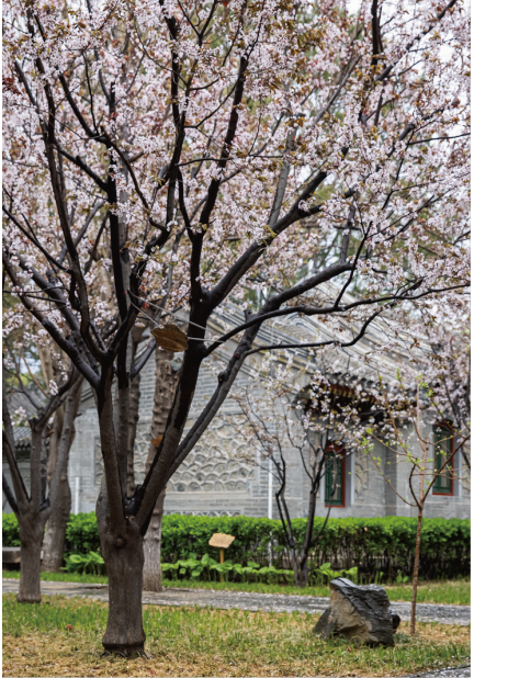 未标题-4_画板 1.png