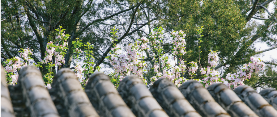 未标题-2_画板 1.png