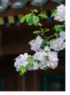 未标题-2_画板 1.png