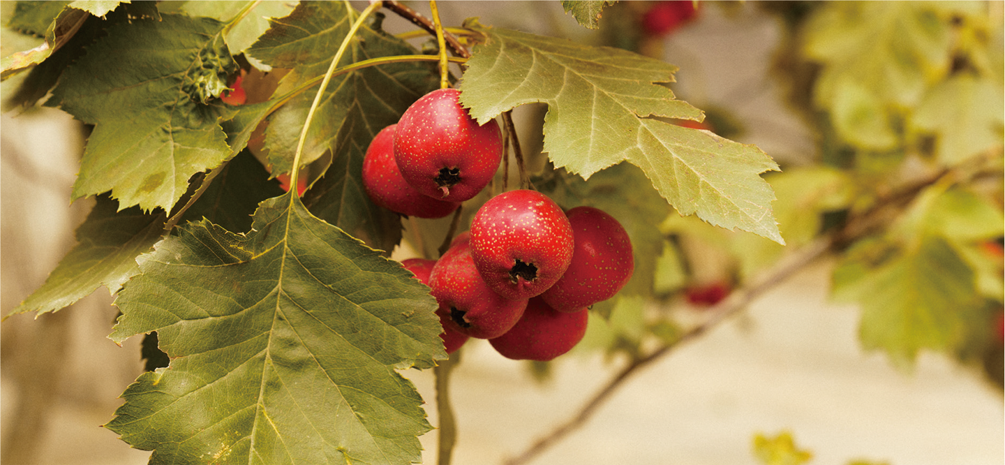 822bae5d-86b0-4a15-ae97-1caf89ea8108.png 822bae5d-86b0-4a15-ae97-1caf89ea8108.png