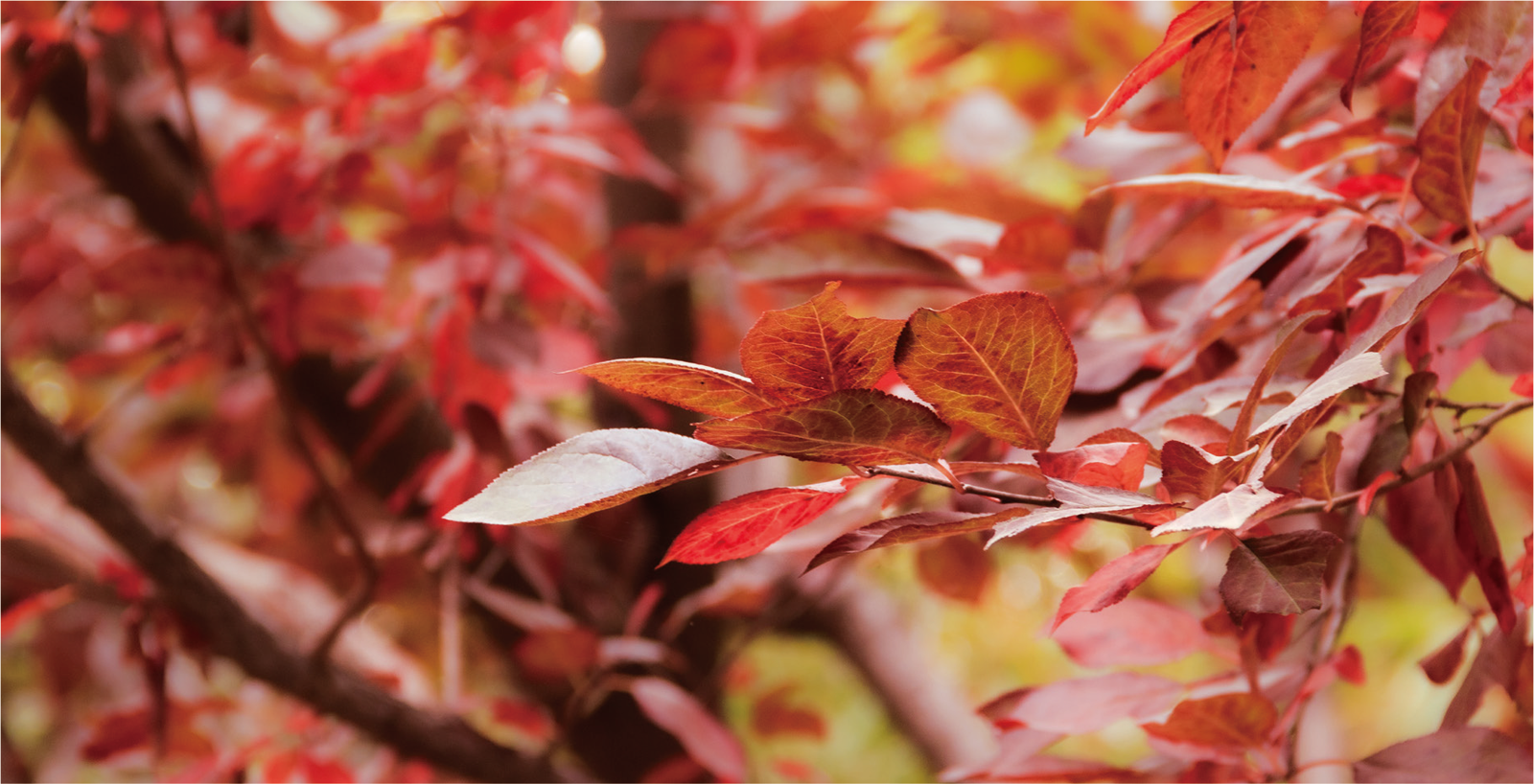 d9399a61-53a4-4196-aa68-0e0792ce5fd0.png d9399a61-53a4-4196-aa68-0e0792ce5fd0.png